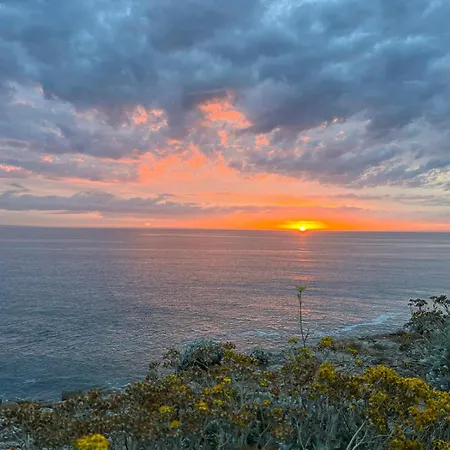 Les Dunes Proche Jardin 公寓 *