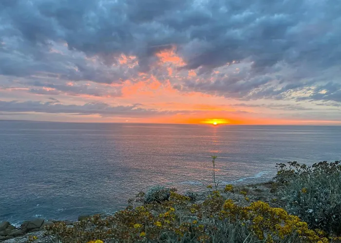 Les Dunes Proche Jardin Διαμέρισμα *